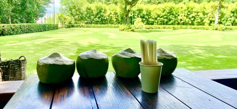 Read more about the article The Anam Cam Ranh Unveils ‘Coconut Harvesting’ Experience